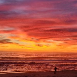 Meet your Posher, Hailey